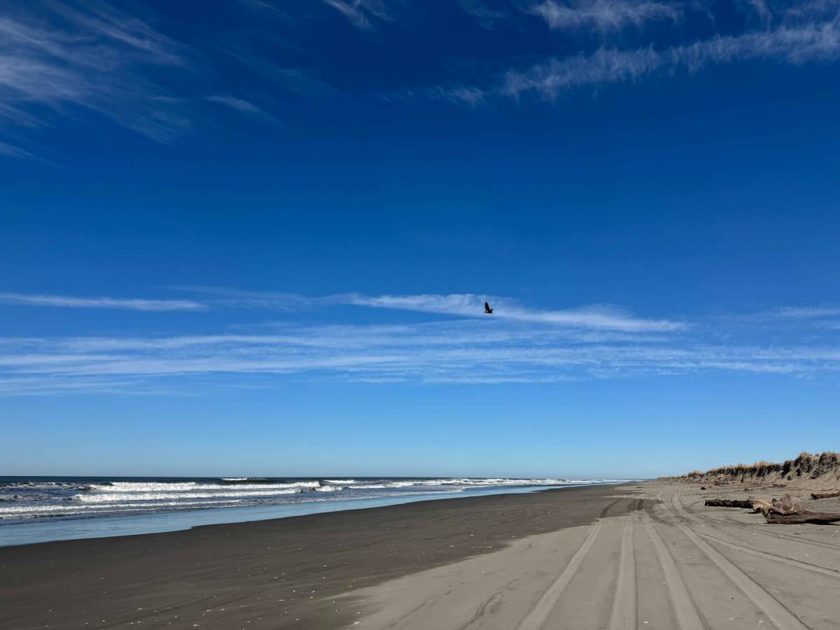 Long Beach photo 6