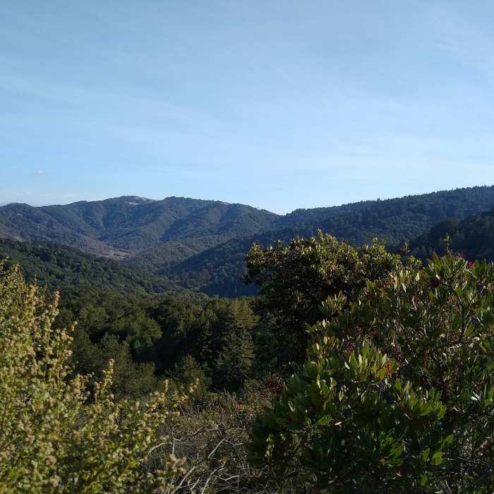 Near Tie Camp Trail