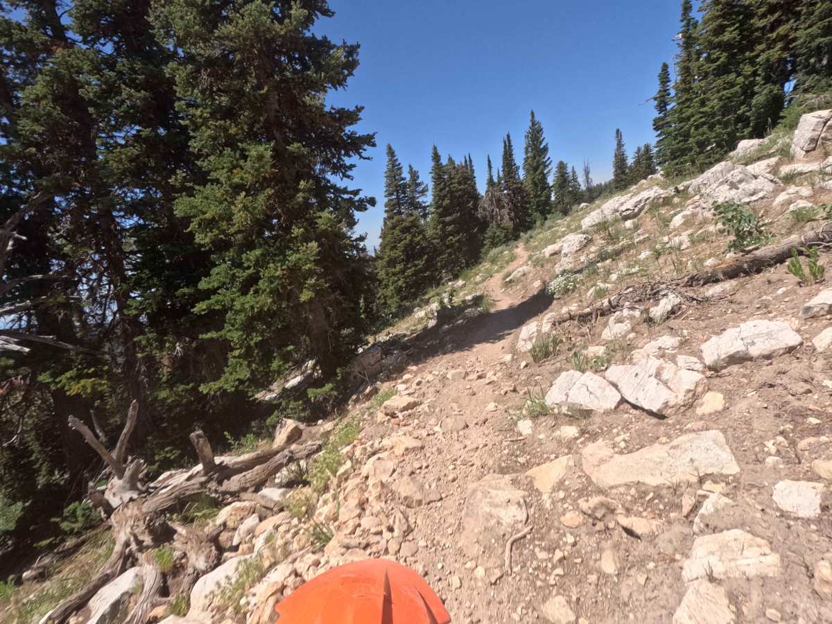 Highline Singletrack photo 5