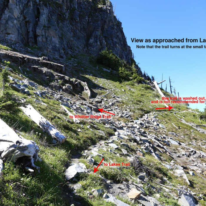 Near Whittier Ridge Trail from Norway Pass