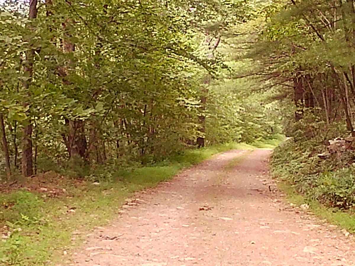 Lick Hollow Road photo 3