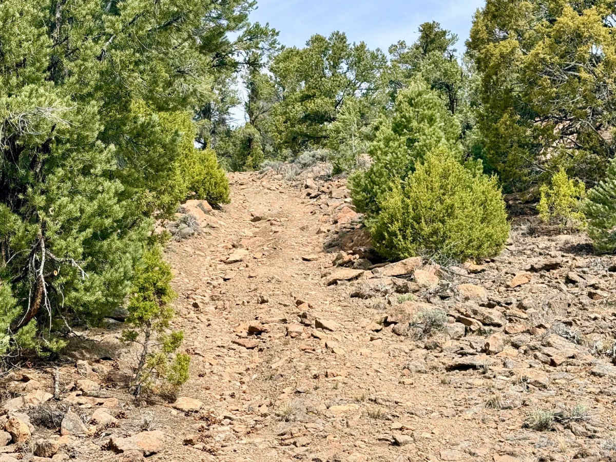 Toquima Trail - FS 23217 photo 6