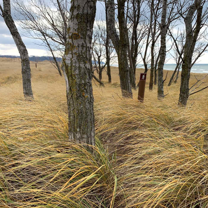 Near Saugatuck Harbor Natural Area