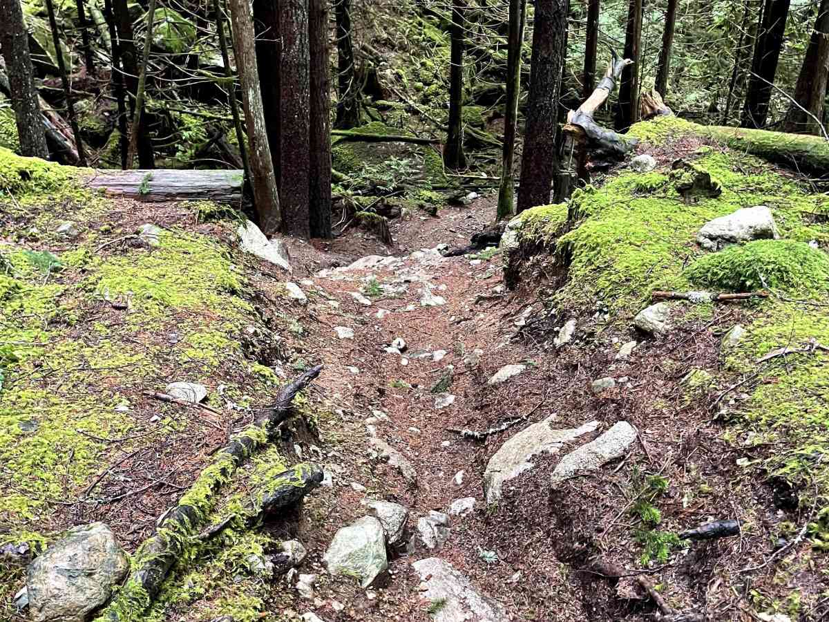Beggers Gulch Connector photo 6