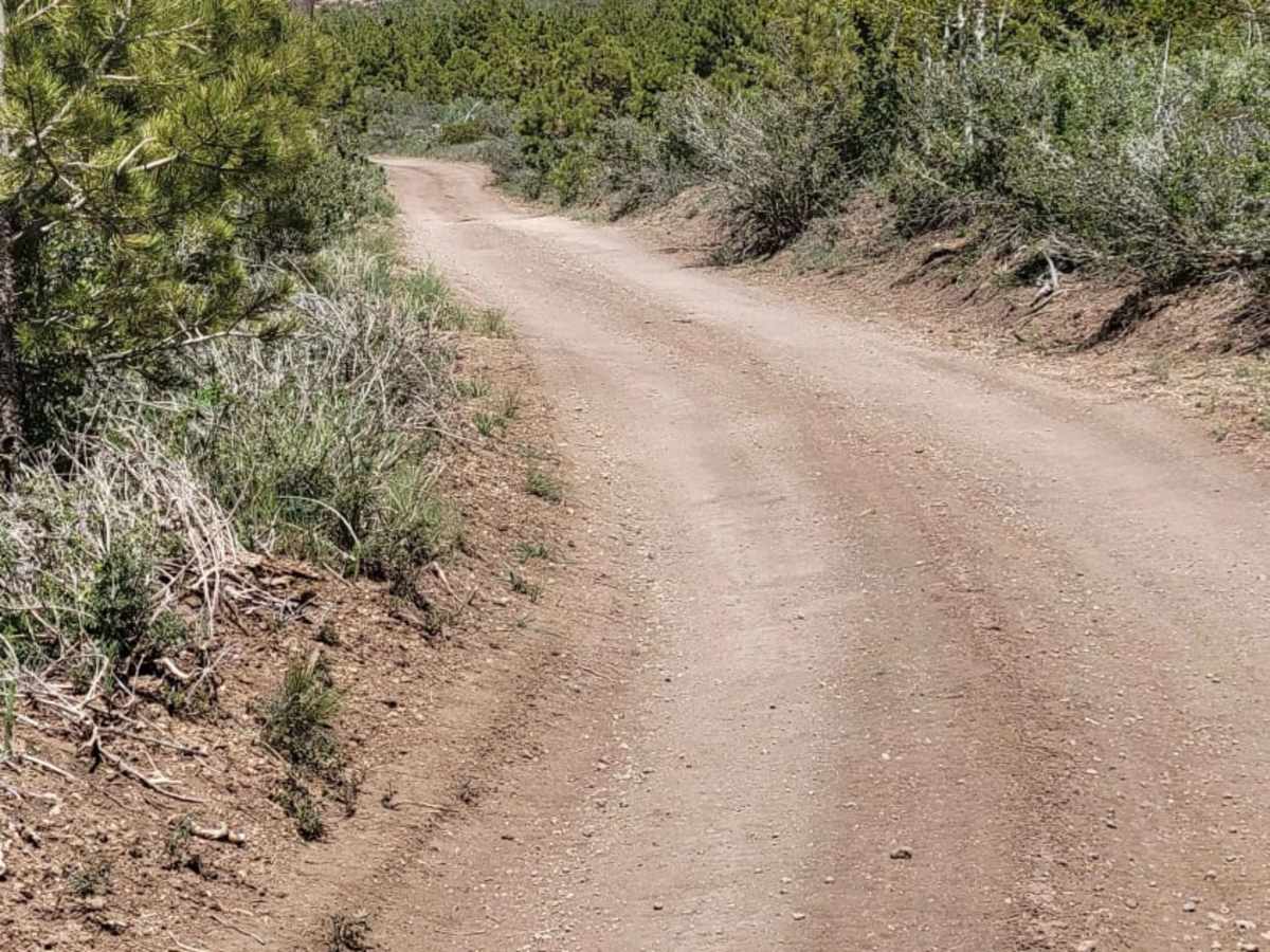 Ponderosa Loop photo 6