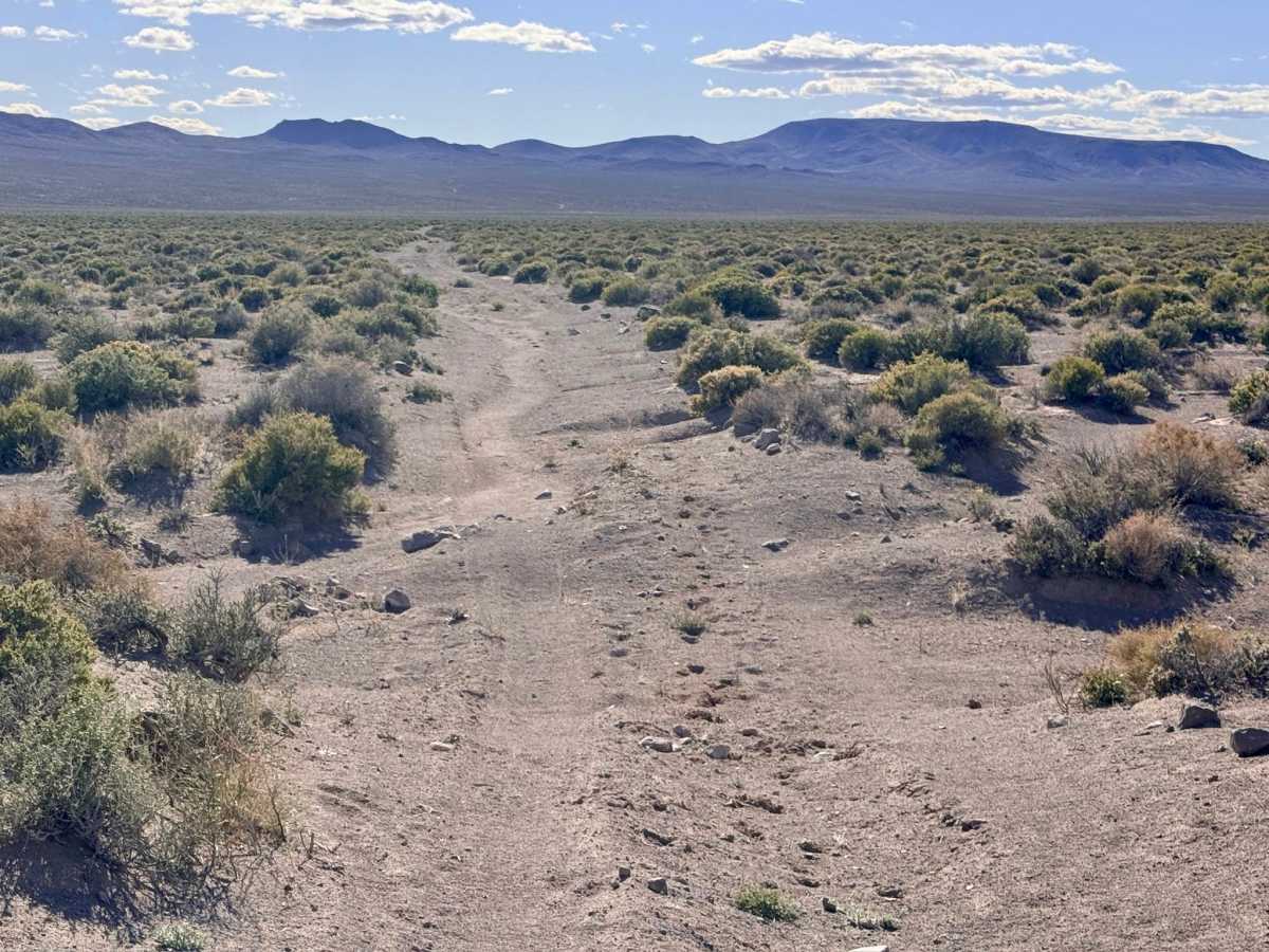 Well Road trail photo