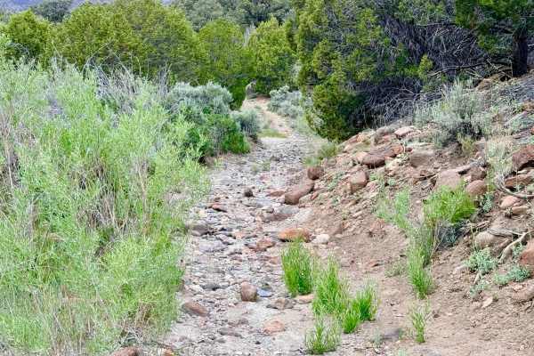 Clover Creek - FS 44098