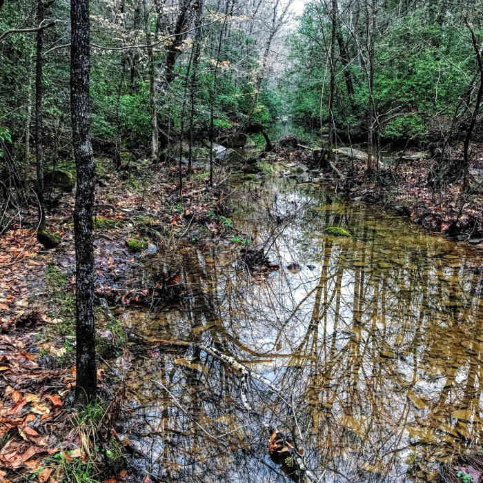Near Cooper Cemetary Trail