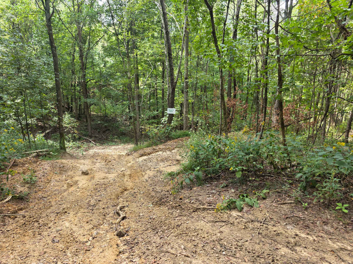 250 Acre Trail photo 4