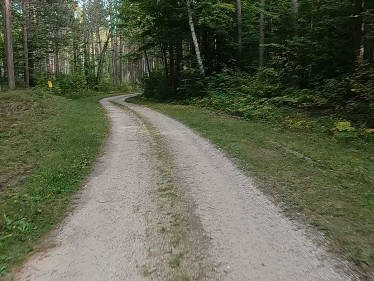 Boedne Bay Road - FS 3453 trail photo