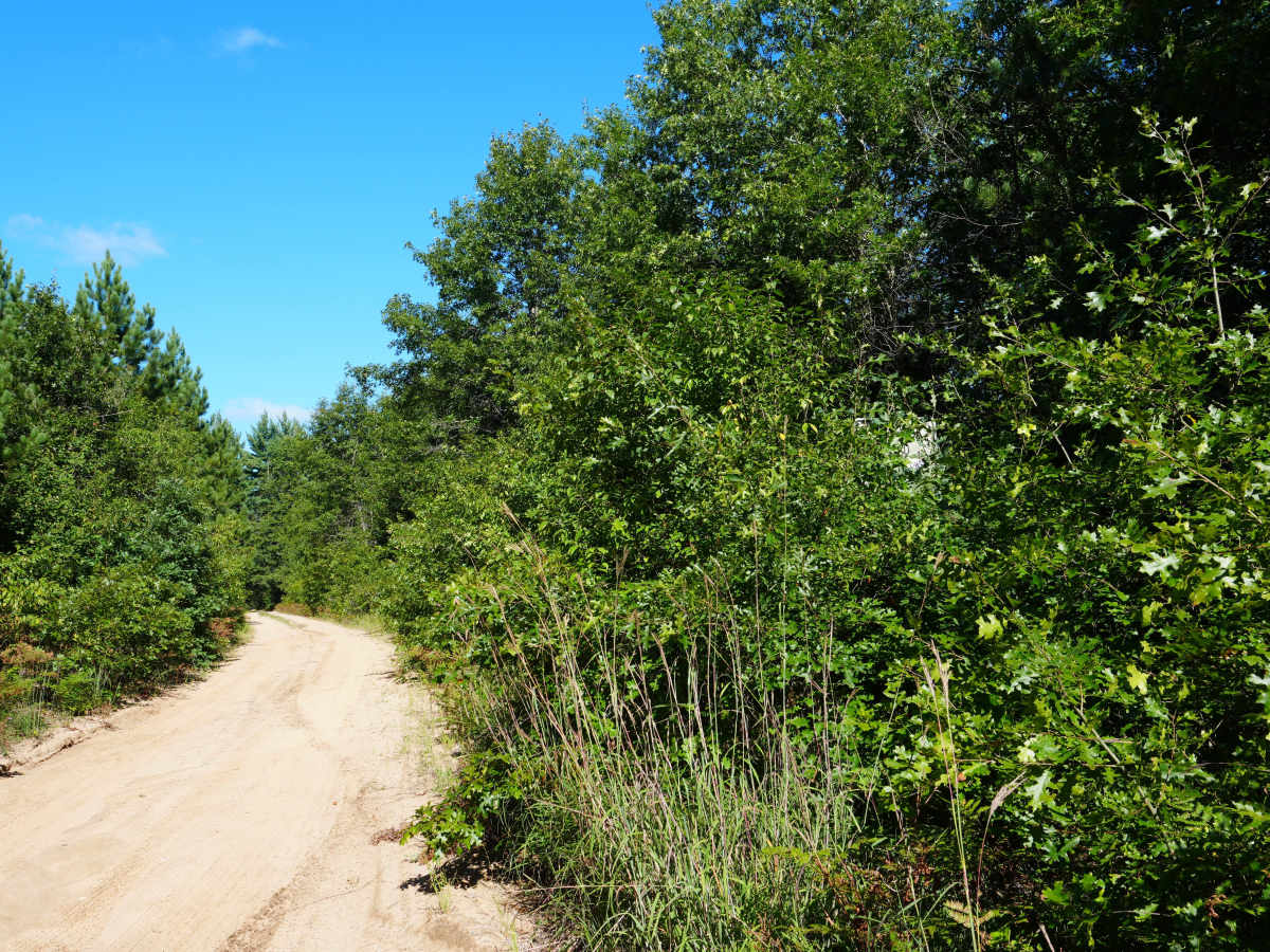Tillman Road photo 2