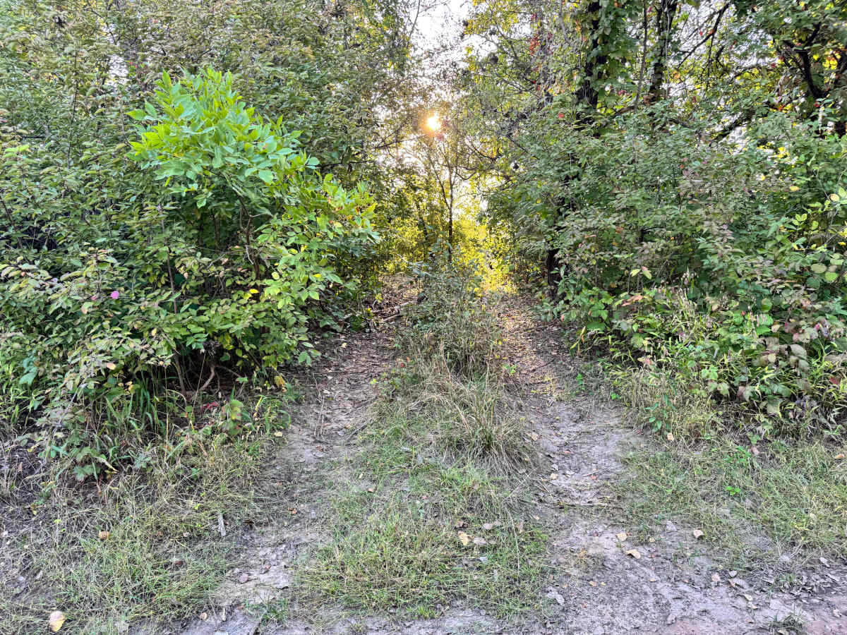 Test Bench Run trail photo