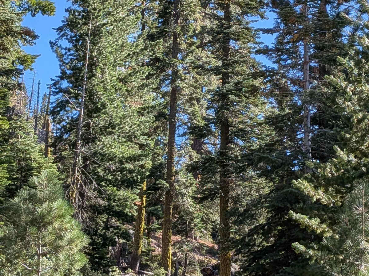 Mill Creek Road - FS5N21 photo 3