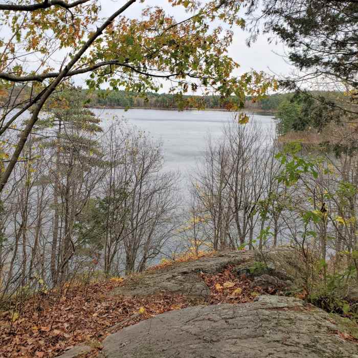 Near Doe Lake Trail