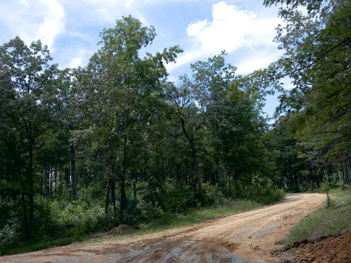Maddox Cut - FS 418a trail photo