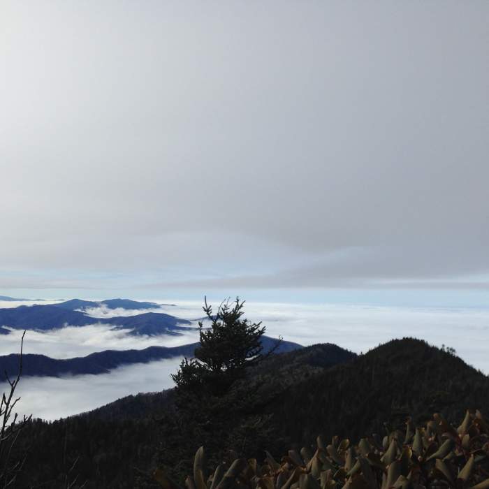 Above the clouds on Mt. LeConte summit. Near Cliff Top Viewpoint Access