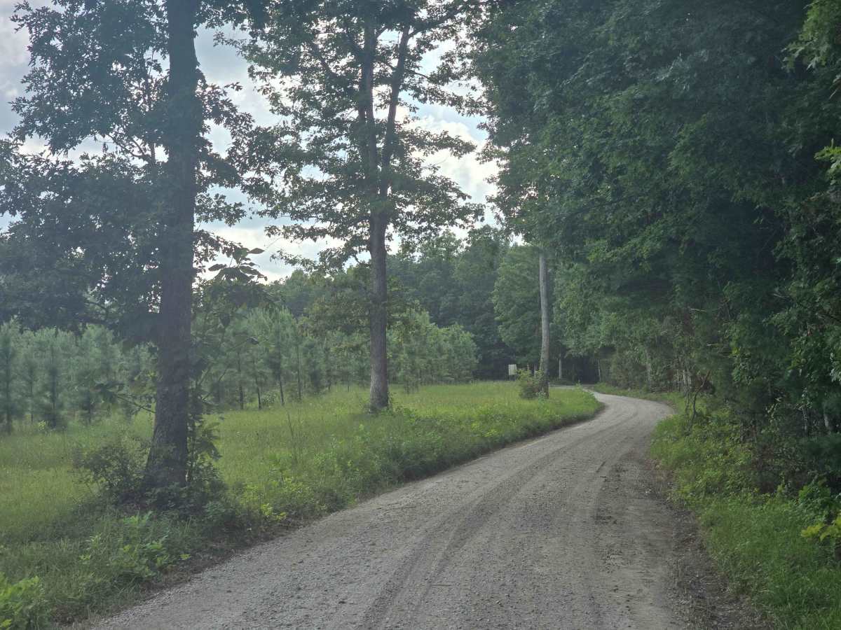 Duncan Hollow Road photo 5