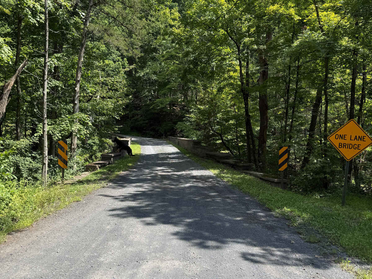 Quarry Road trail photo