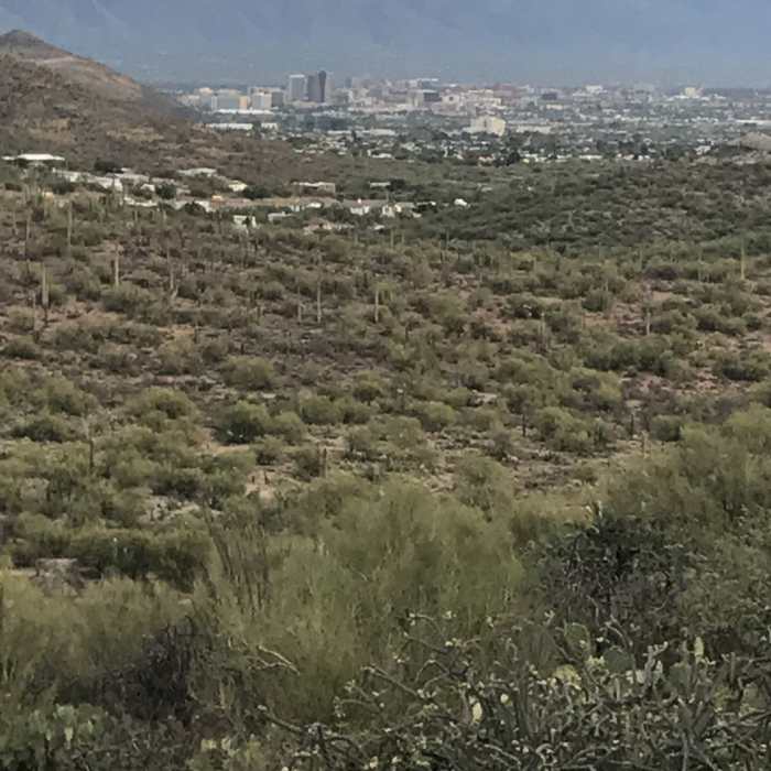 Nice views of Tucson Near Bittersweet Trail