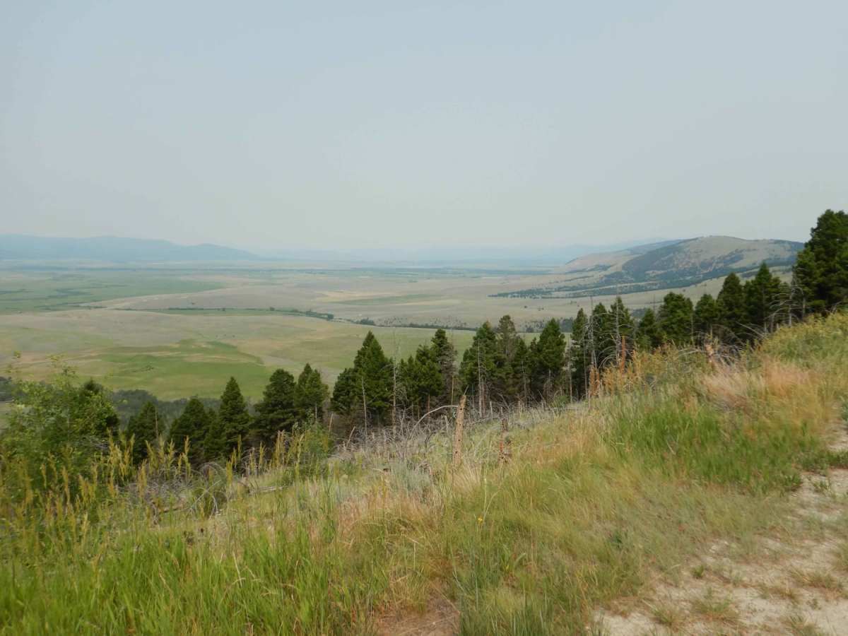 Nevada-Ogden Road photo 4