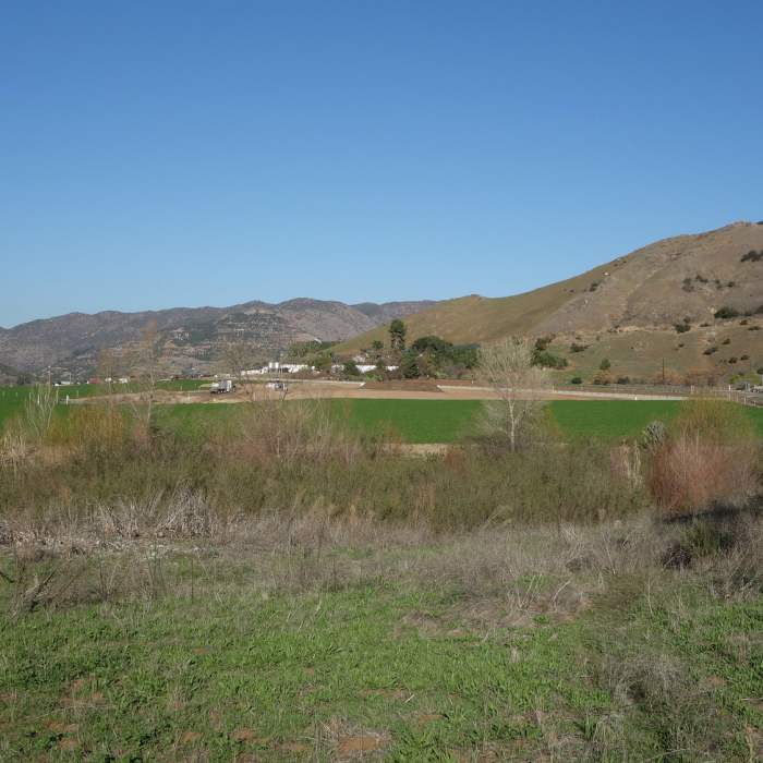 Near Coast to Crest Trail: Raptor Ridge and San Pasqual Valley