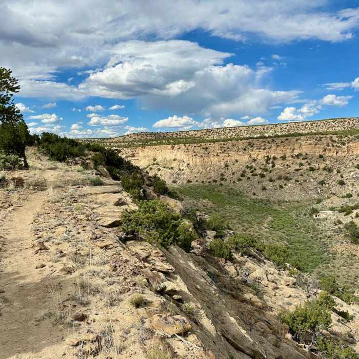 Near Continental Divide Trail: New Mexico Section 24