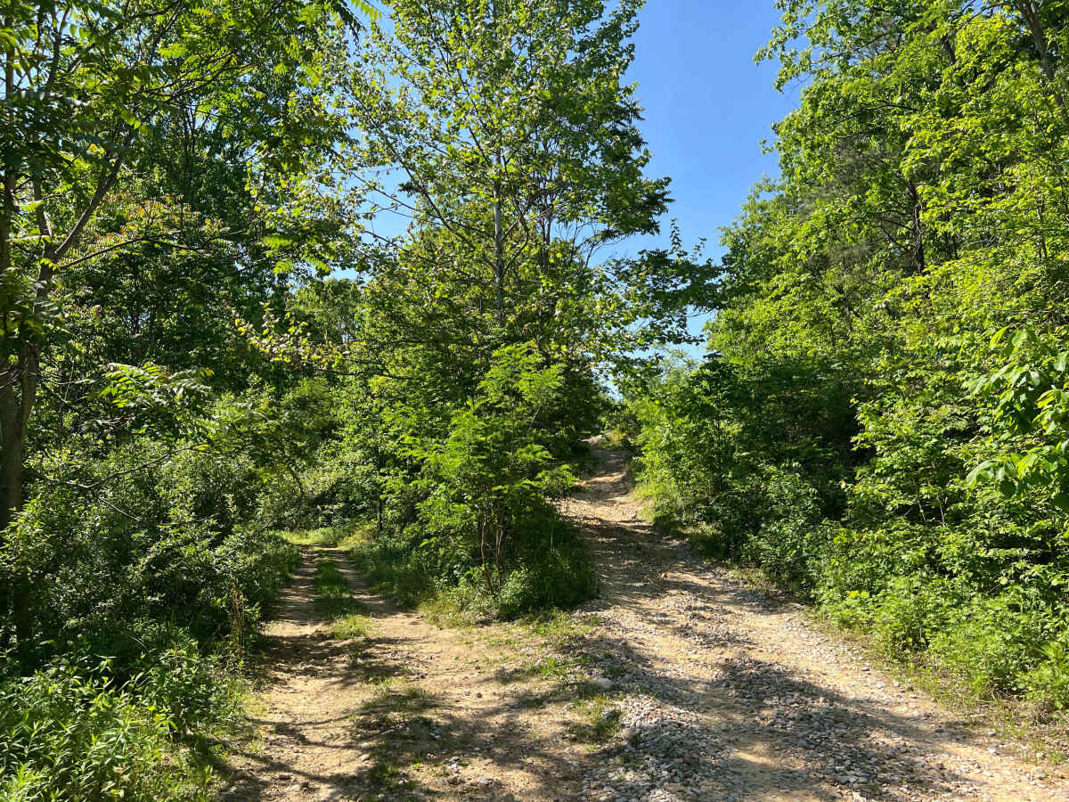 KC20 trail photo