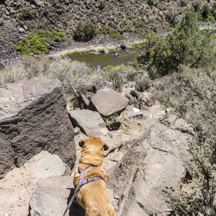 Near La Vista Verde Trail