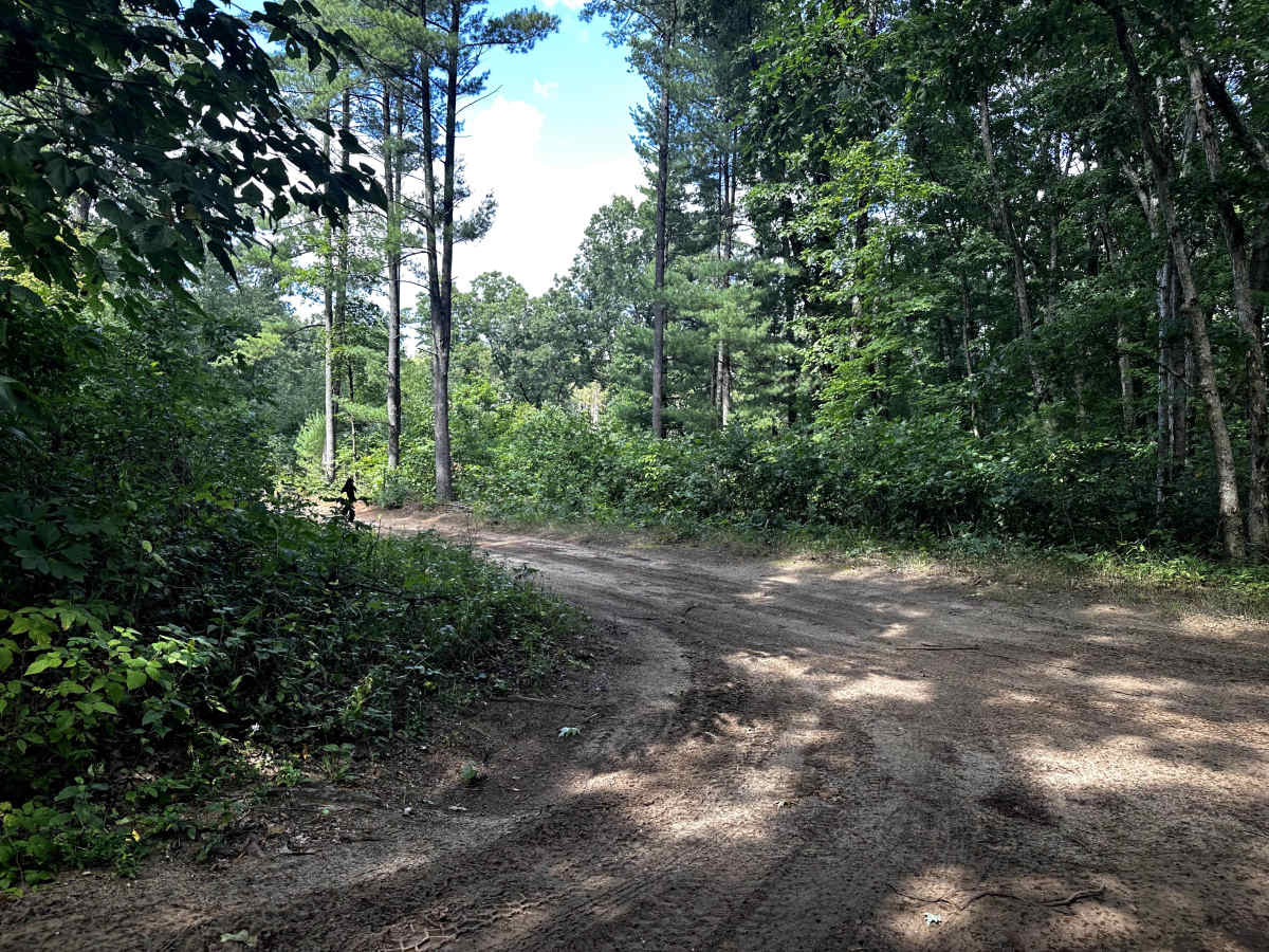 126th Avenue trail photo