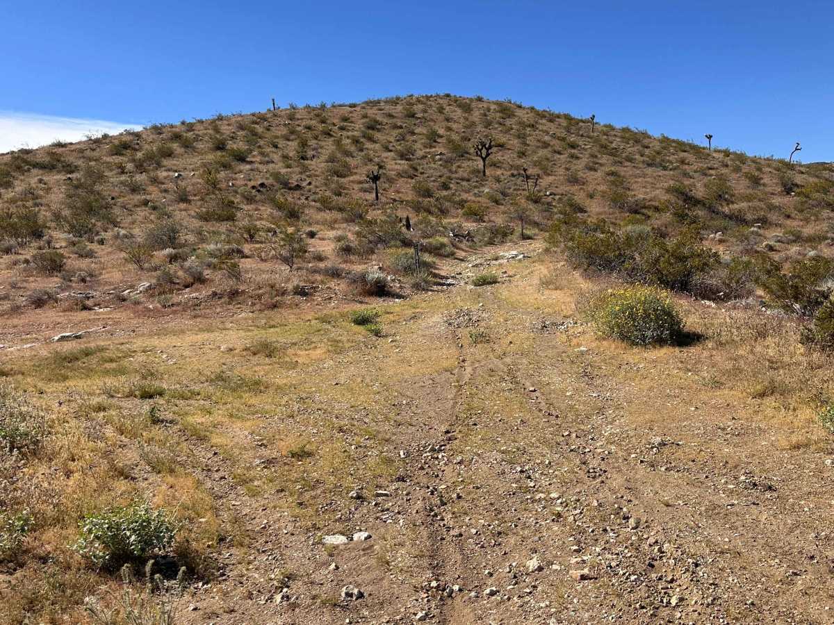 Rattlesnake Loop photo 2