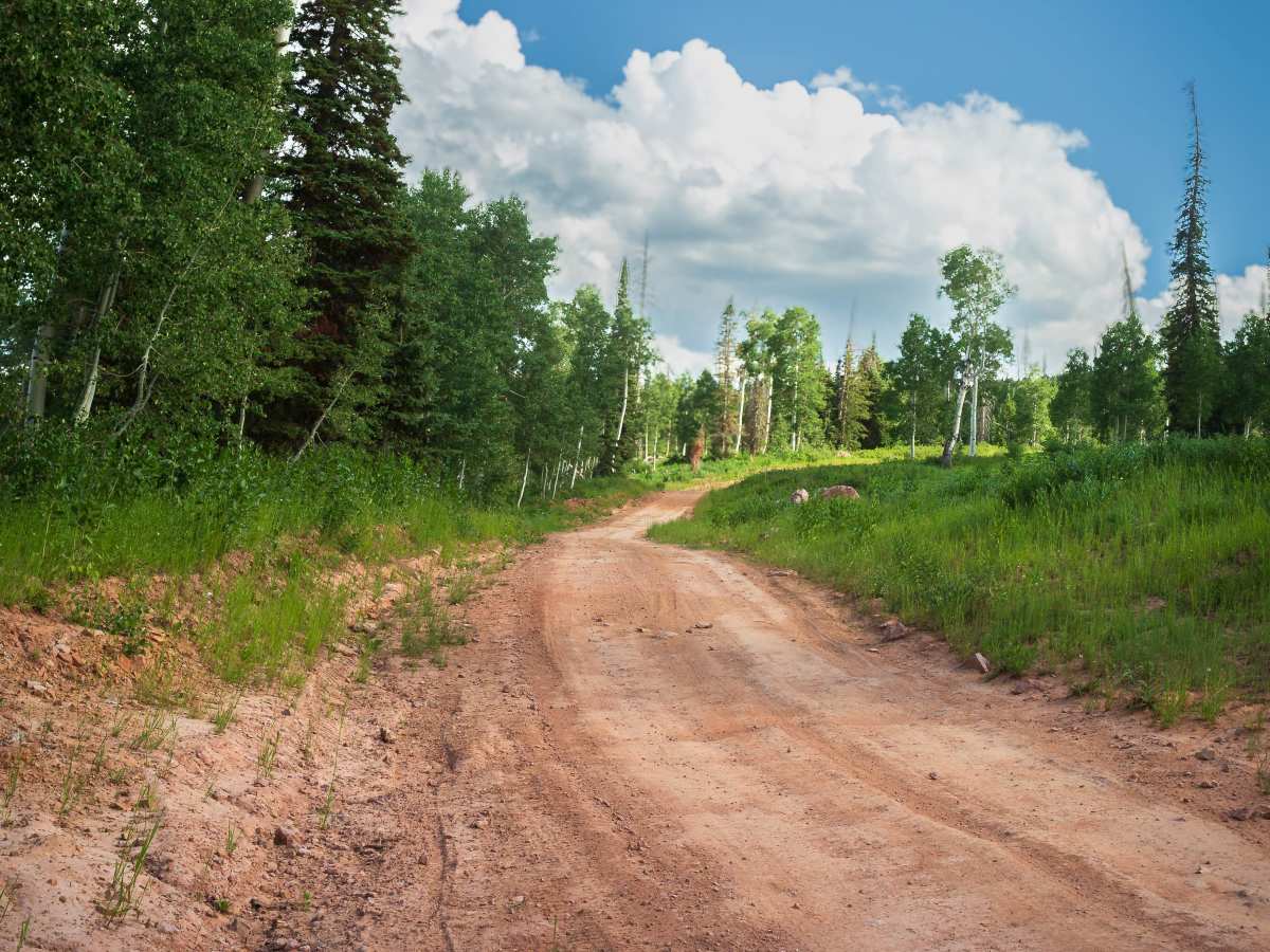 Clyde Creek - FR 70134 photo 6