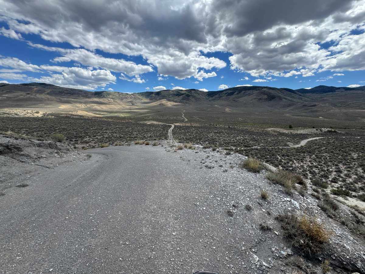 BLM 8532 photo 6