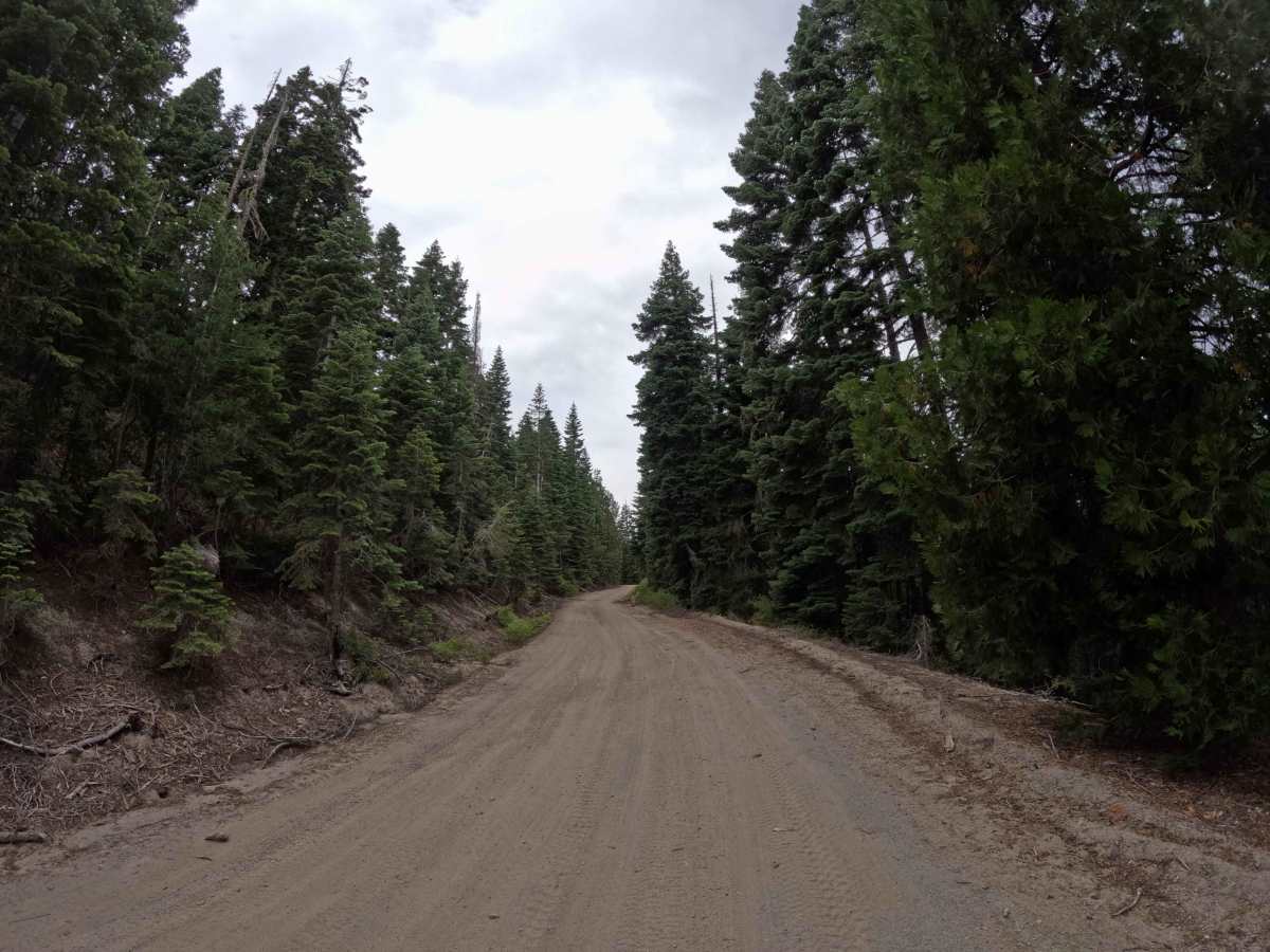 Chapman Saddle - FS 21N09 photo 4