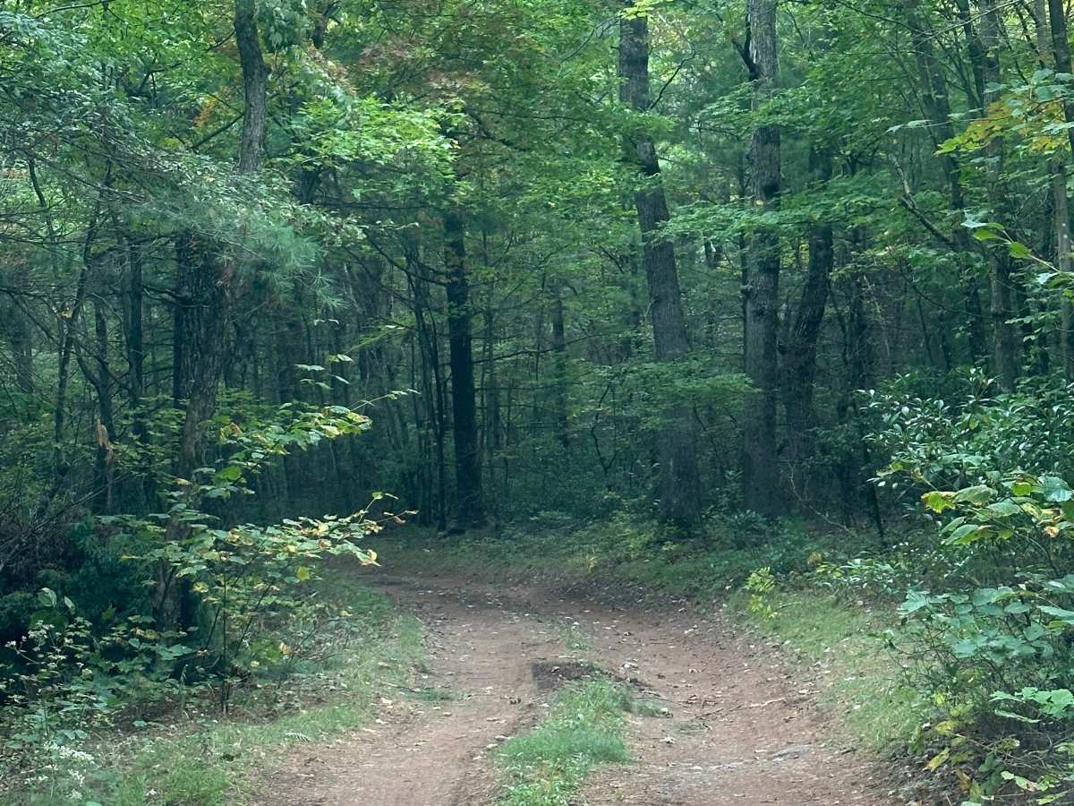 Fulk Mountain photo 2