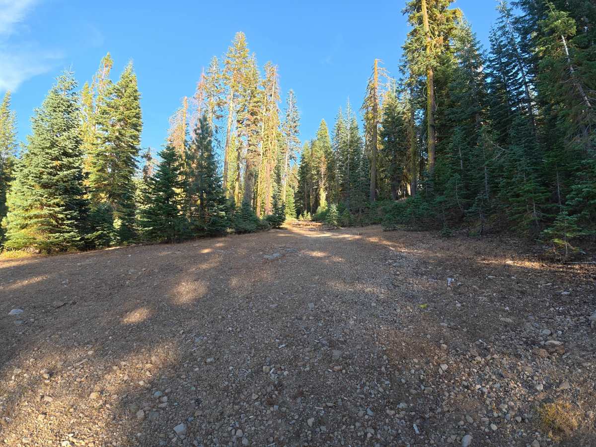 FS 6N91D trail photo
