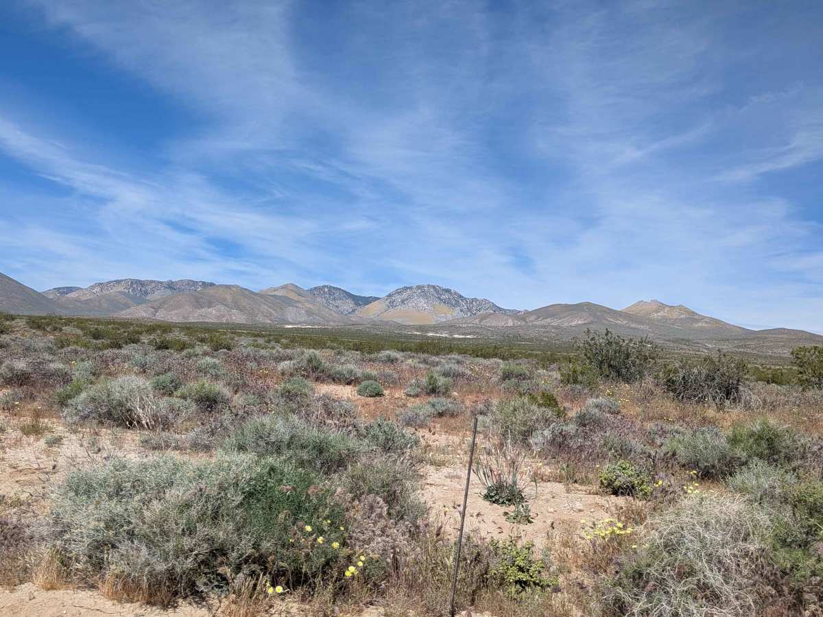 BLM LA1 Highway 178 South photo 4