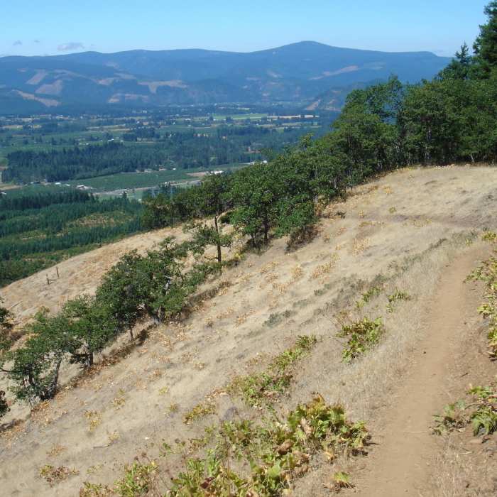 Overlooking the valley... Near Oak Ridge Trail