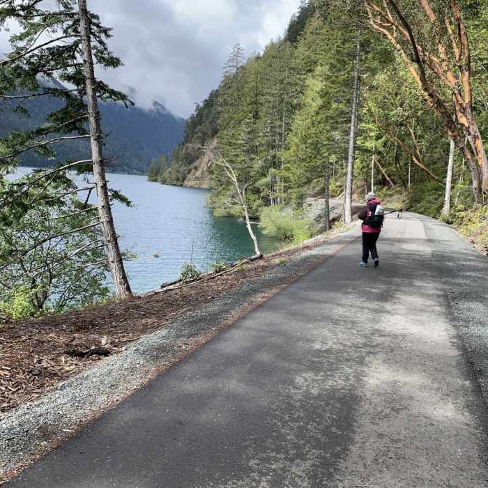 Near Olympic Discovery Trail