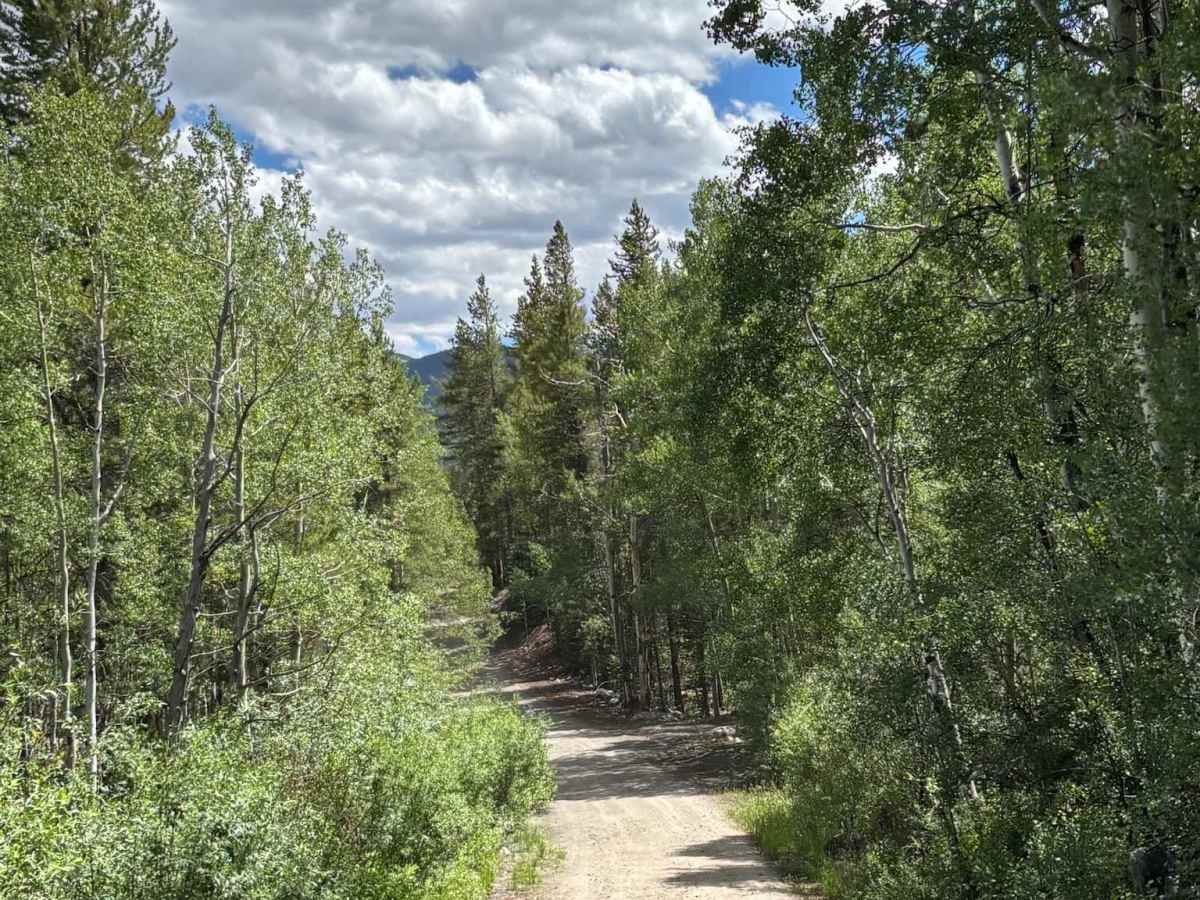 Frying Pan Road - Ivanhoe Creek photo 3