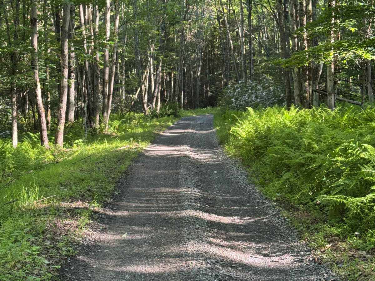 Furnace Trail photo 5