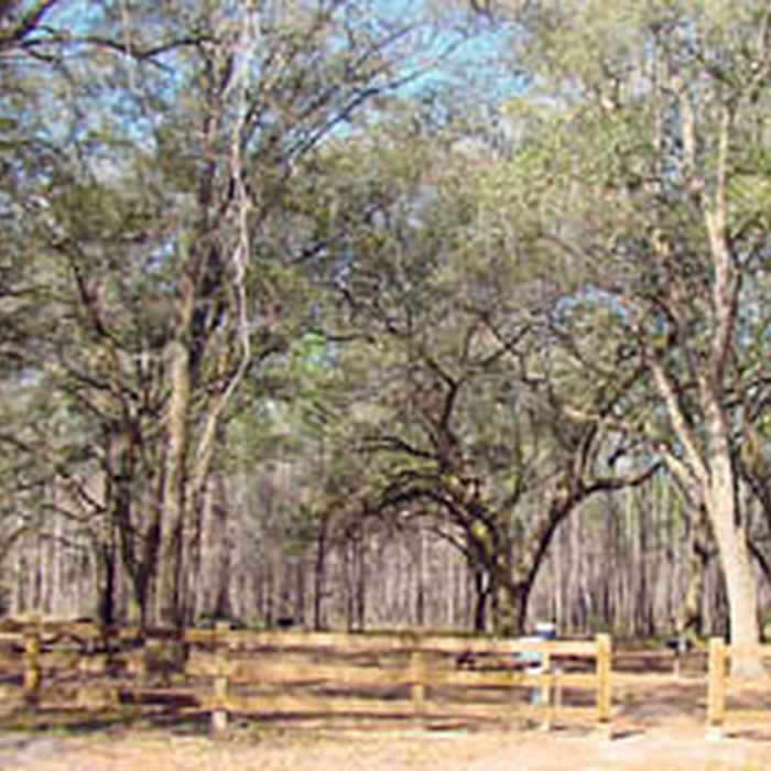 Near Homesteaders Hollow Trail