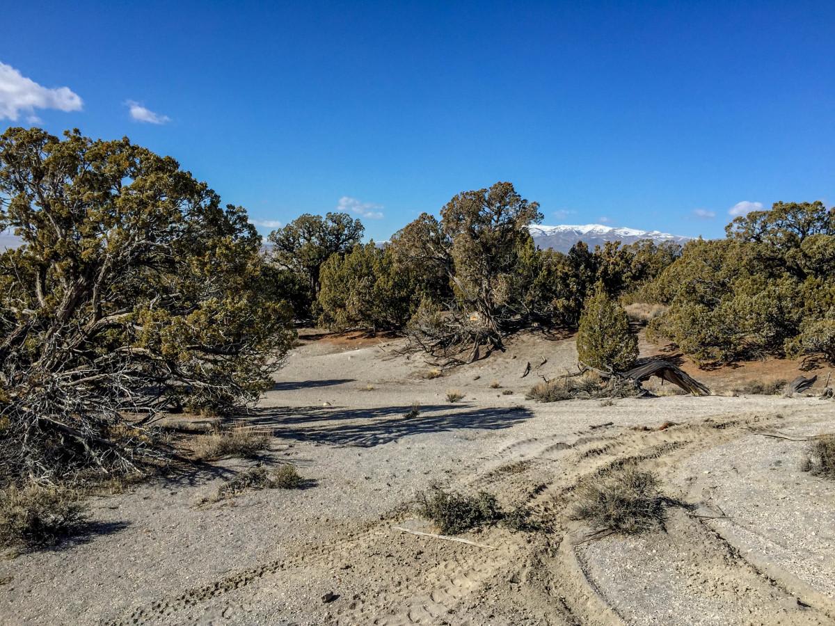 Wildcat Hills photo 5