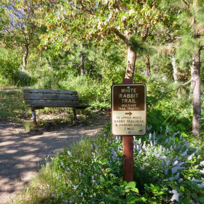 Near White Rabbit Trail