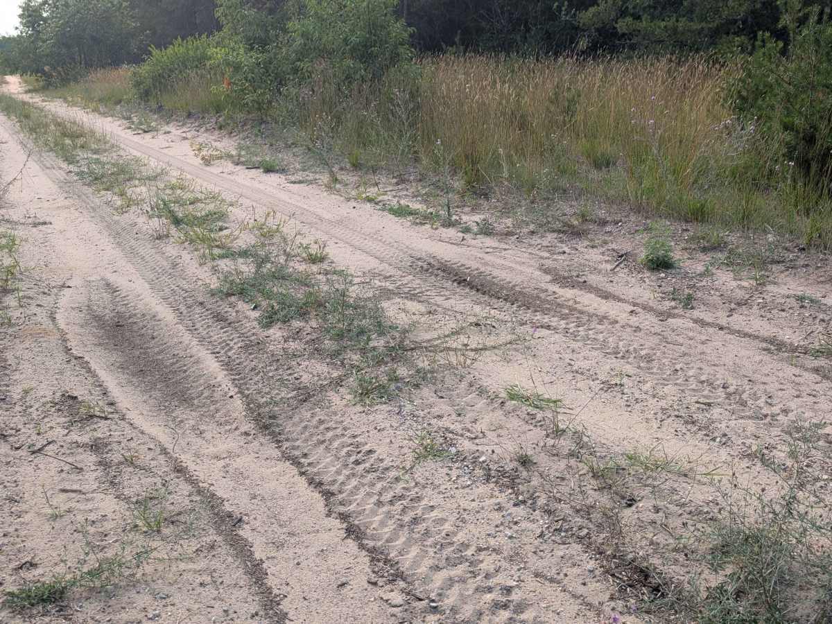 North Beaver Dam Creek Loop photo 3