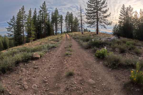 Canyon 2 Spur - FS 0894-008-04