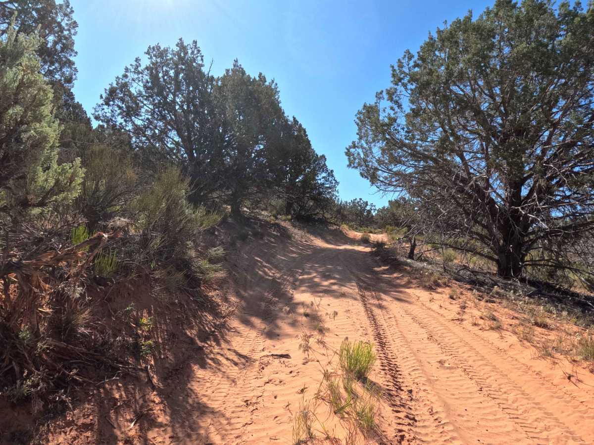 BLM 104J photo 6