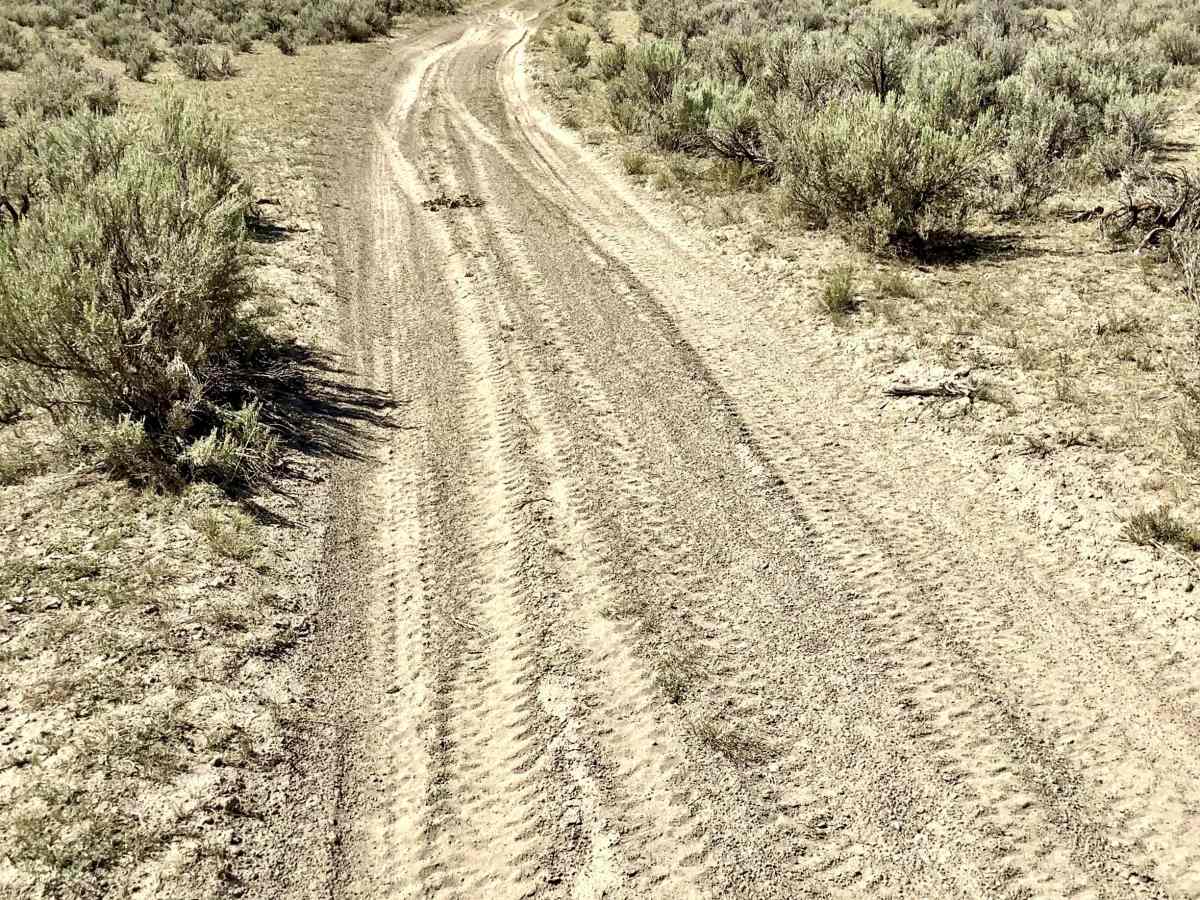 Deer Creek Trail trail photo
