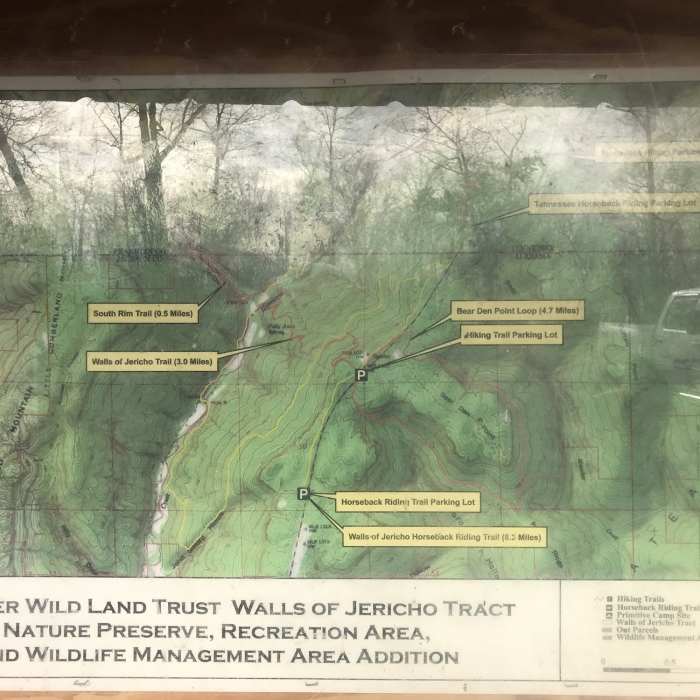 Near Bear Den Point Loop