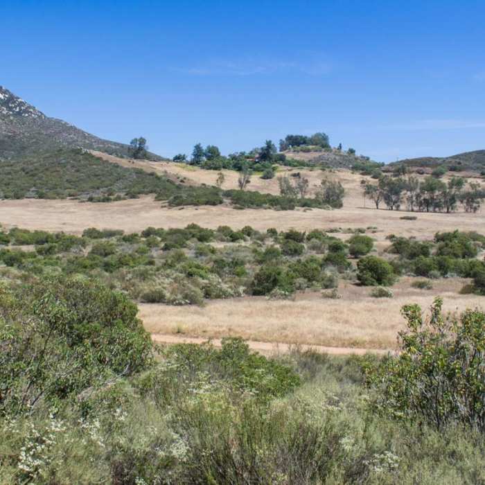 Near Iron Mountain Peak Trail #10