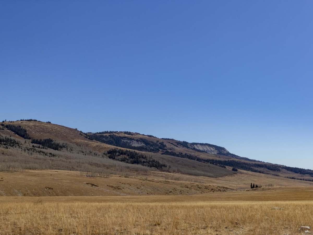 Salina Creek photo 3